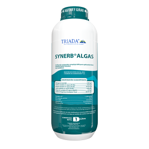 SYNERB-ALGAS