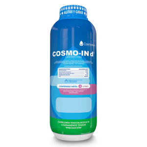 COSMO-IN d