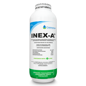 INEX-A