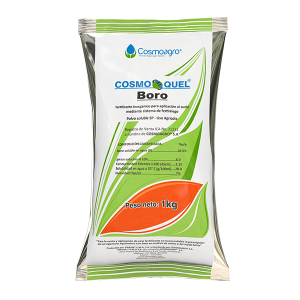 COSMOQUEL BORO