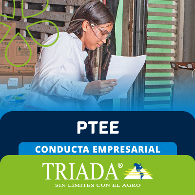ptee-triada-español ptee-triada-español