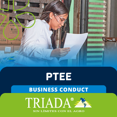 ptee-triada-ingles ptee-triada-ingles