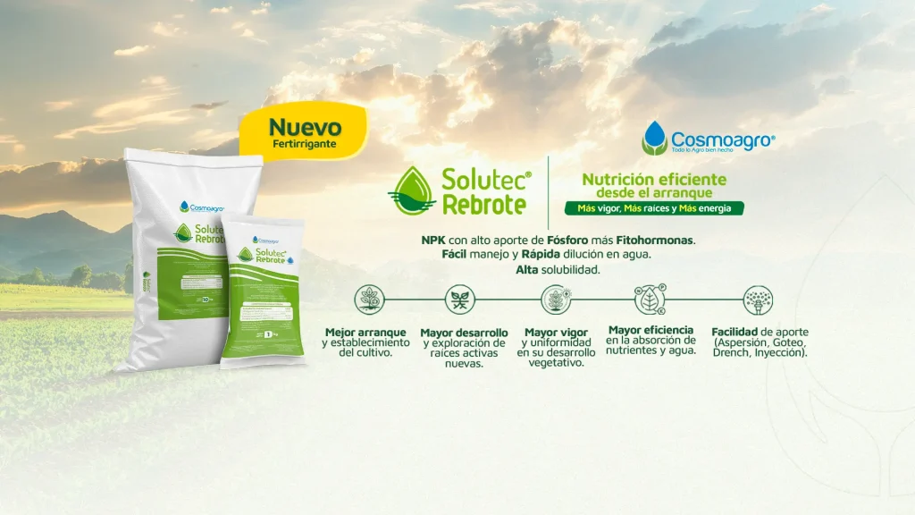 SOLUTEC REBROTE beneficios
