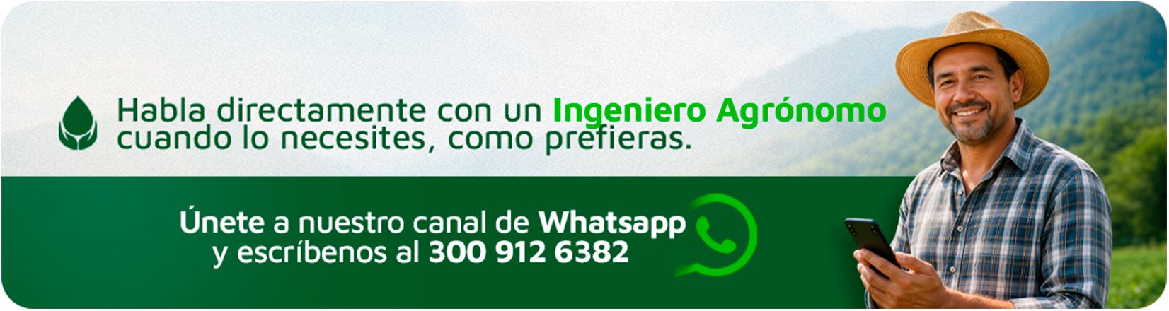 RECIBE ASESORIA TECNICA COSMOAGRO