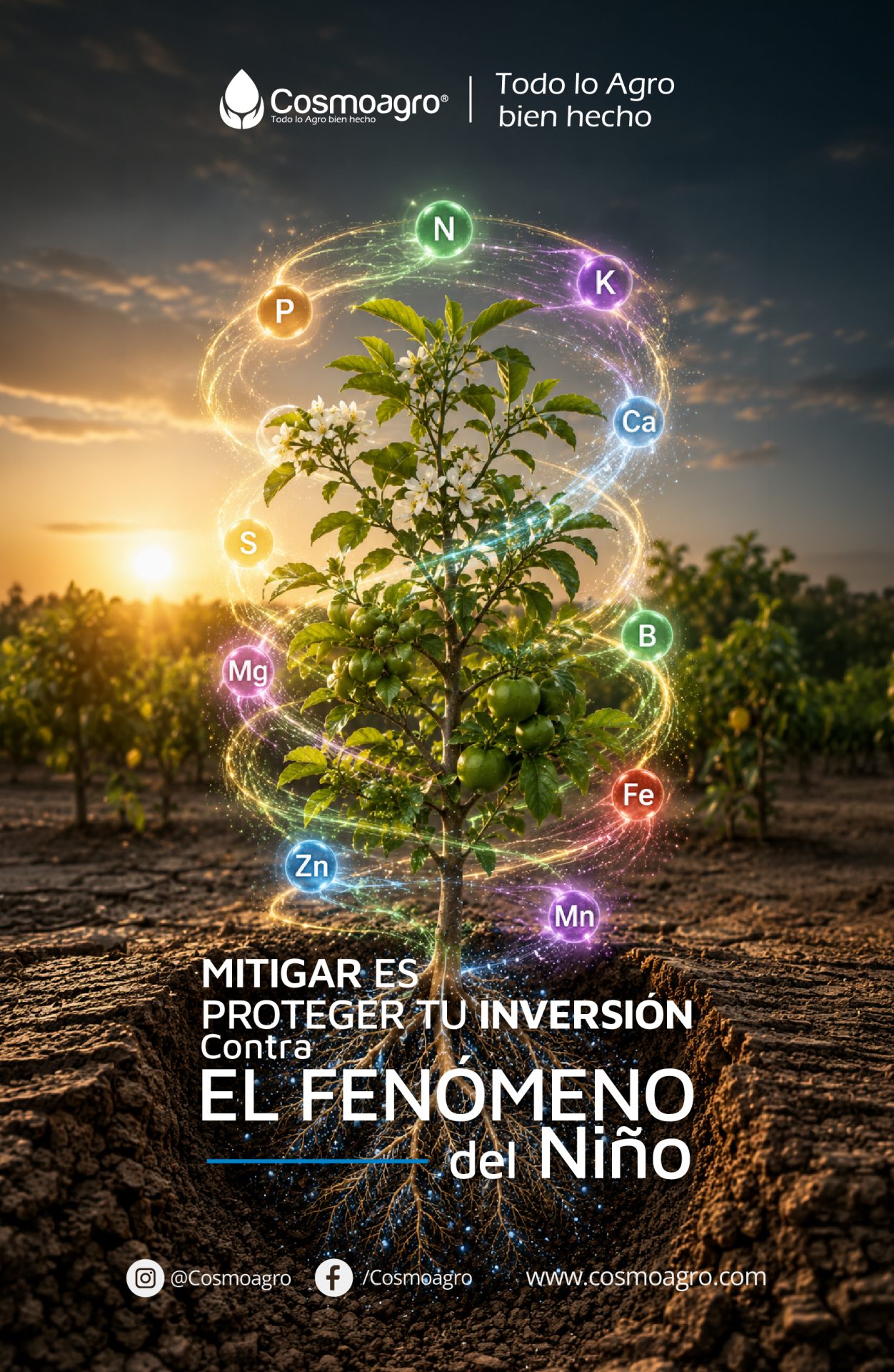 BOLETÍN 2 COSMONEWS COSMOAGRO