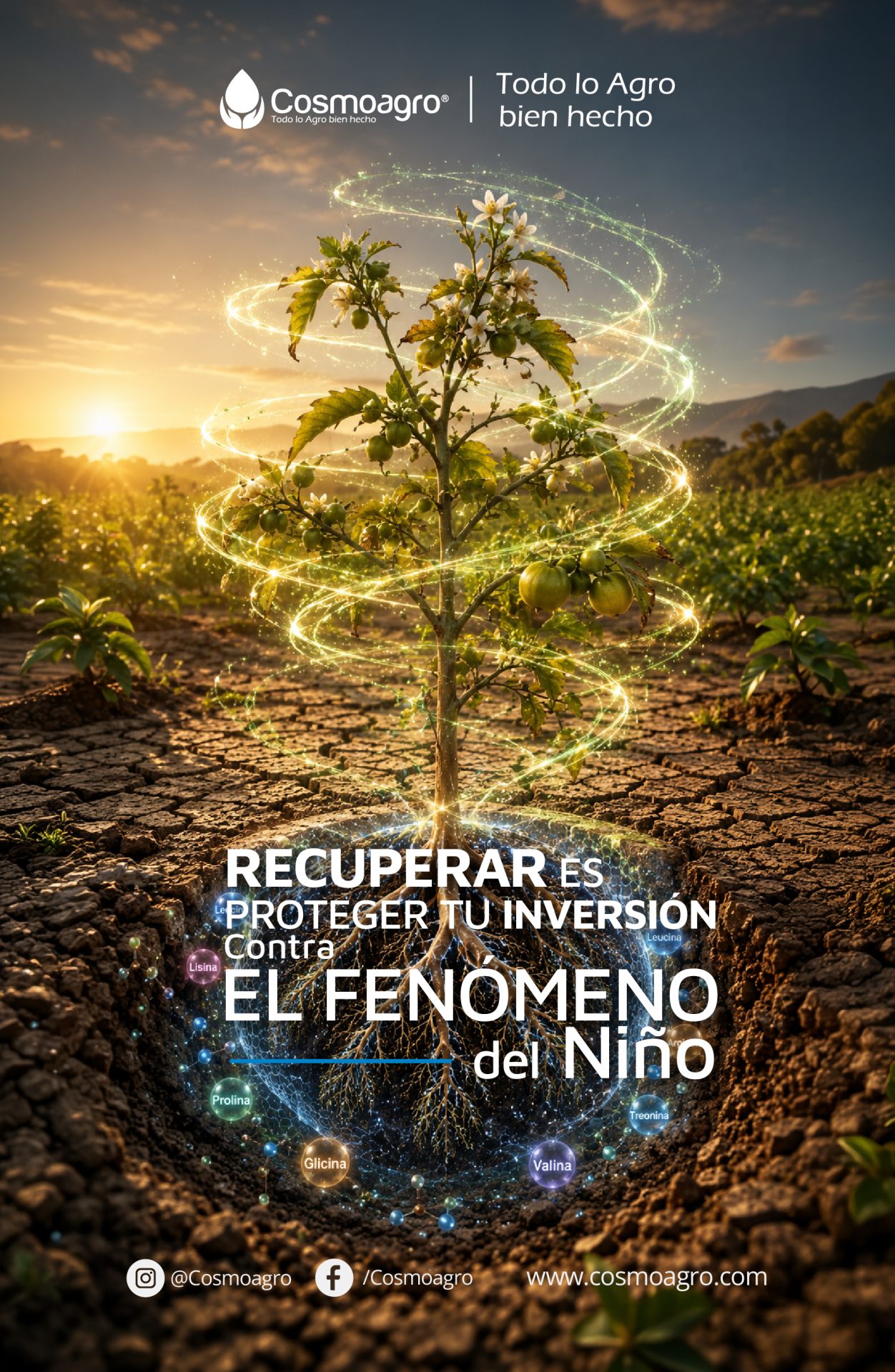 BOLETÍN 3 COSMONEWS COSMOAGRO