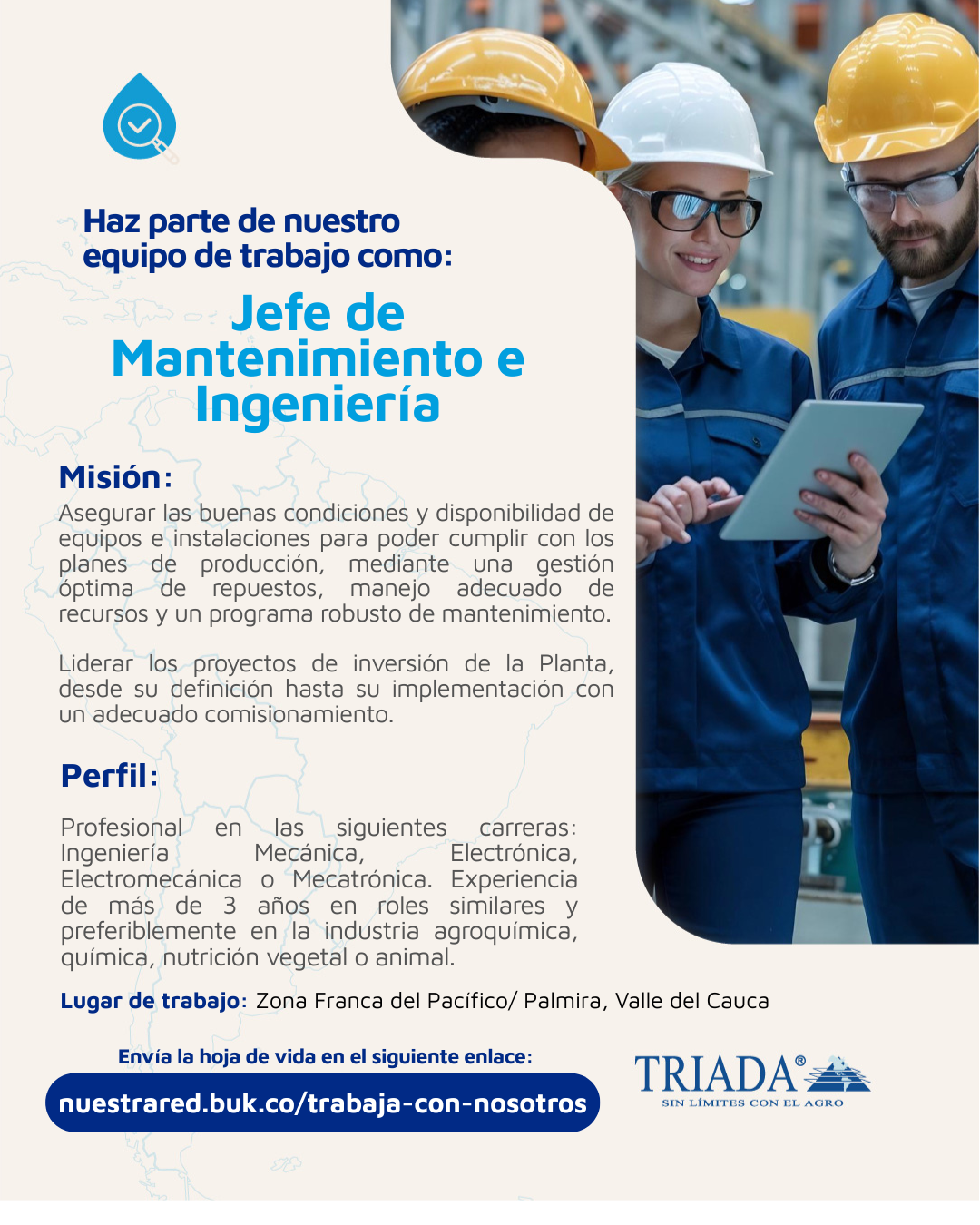 JEFE DE MANTENIMIENTO E INGENIERIA- TRIADA