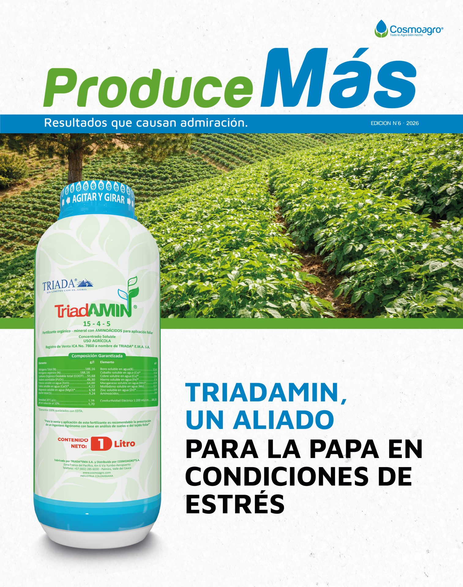 BOLETÍN COSMONEWS 10